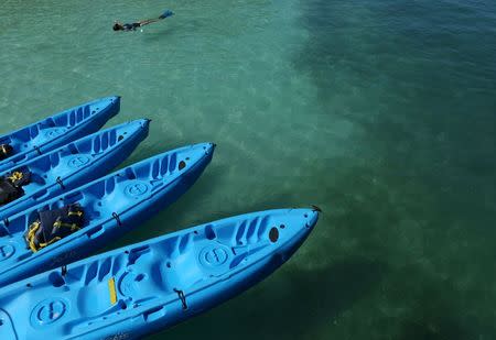 A tourist snorkels in clear waters near a reef in this July 15, 2013 file photo shot offshore from Hamilton, Bermuda. REUTERS/Gary Cameron/Files