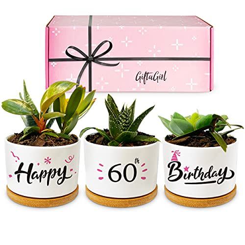 8) 60th Birthday Planter Set