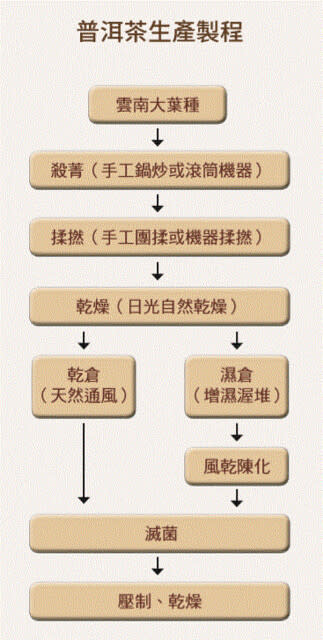 普洱茶生產製程