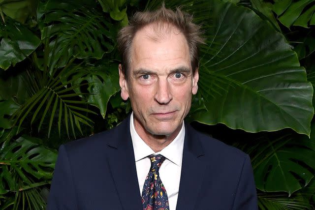 <p>Jon Kopaloff/WireImage</p> Julian Sands in March 2022.