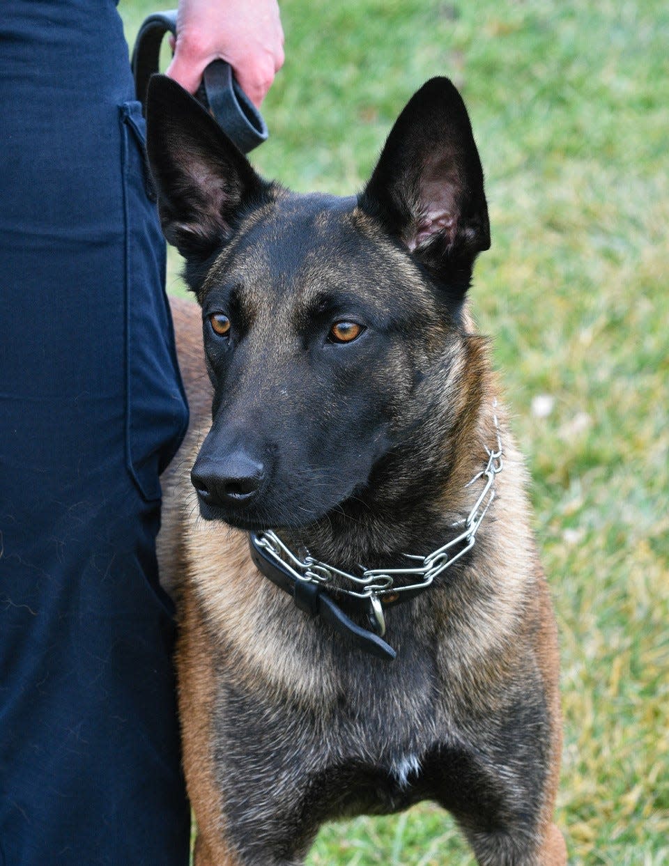 New Port Clinton K-9 officer is trained in narcotics detection ...