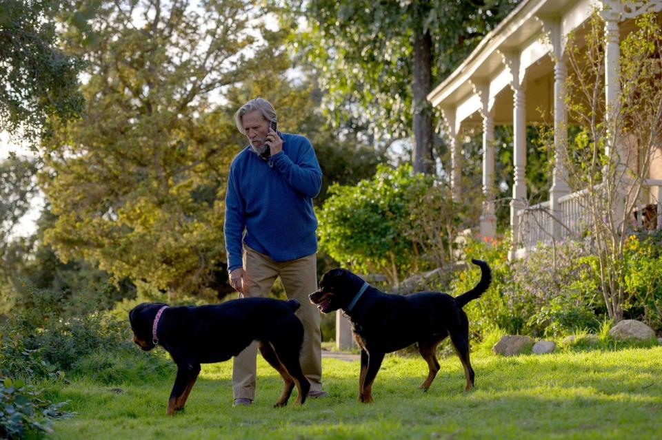 Dan Chase (Jeff Bridges) und seine geliebten beiden Hunde: ein effizientes Gespann. (Bild: Prashant Gupta/FX)