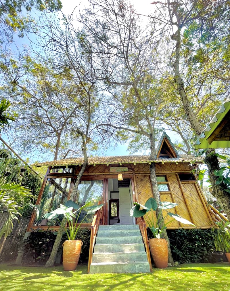 Exterior view of wood and bamboo treehouse cabin entrance with potted plants flanking stairway.