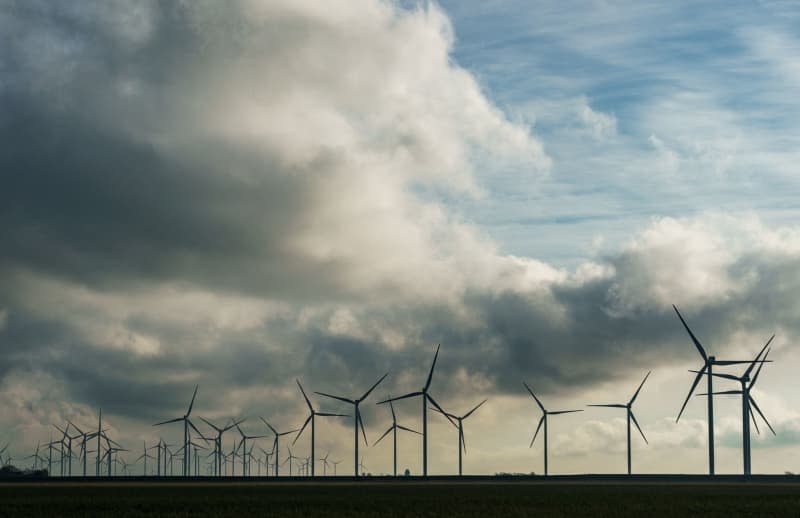 Wind turbines rotate in a wind field at Hauke-Haien-Koog on the North Sea coast. Axel Heimken/dpa