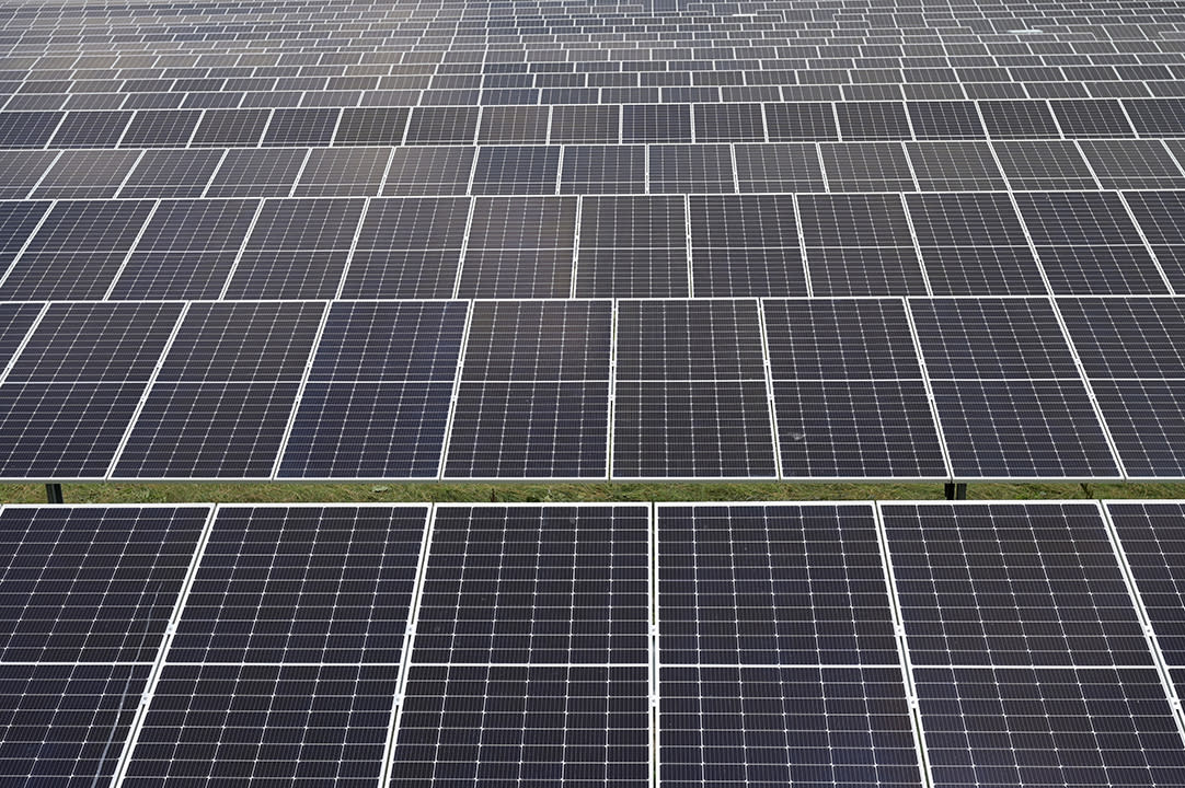 Solar panels are pictured in a solar park in Lottorf, Germany July 30, 2021. U.S. tariffs continue on Chinese solar panels. REUTERS/Fabian Bimmer