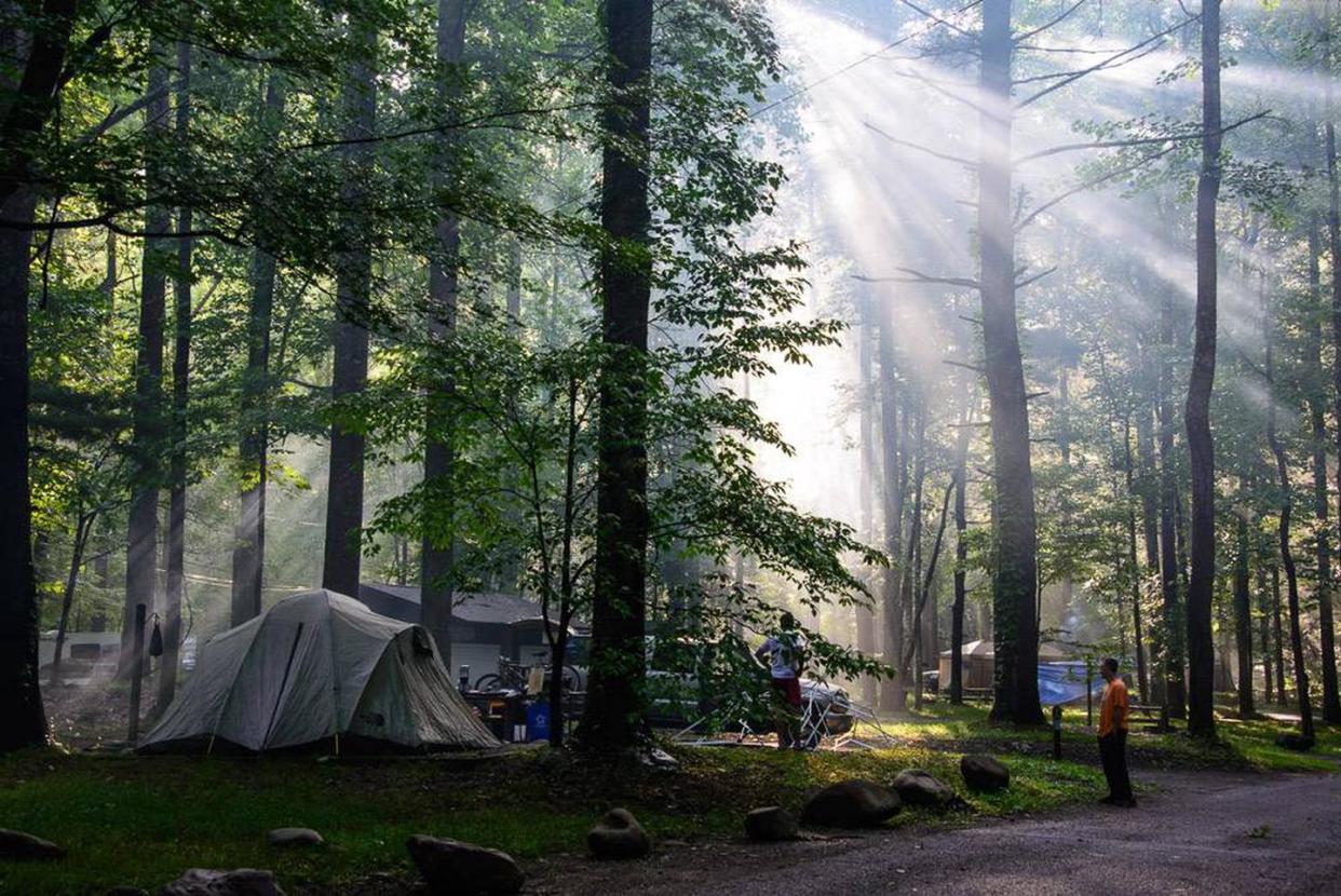 Elkmont Campground in The Great Smoky Mountains.