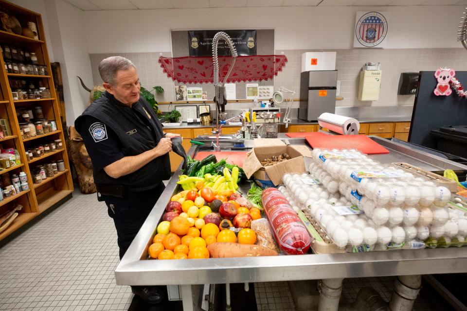 CBP Supervisory Agricultural Officer Charles Payne inspects produce and eggs that have been confiscated. 