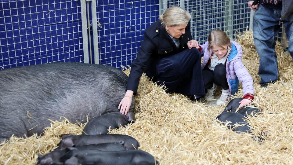 Sophie crouched in pig sty