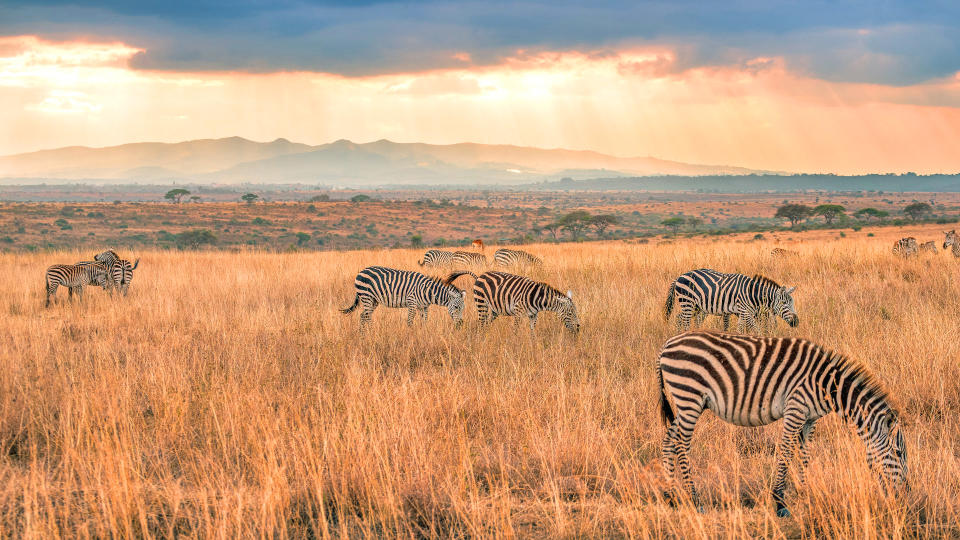 Namibia