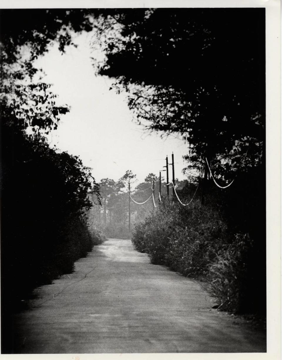 An archived photo of County Road 94, best known as Loop Road, as it winds its way through the Big Cypress swamp. Once owned by Monroe County, it was turned over to the Big Cypress National Preserve in the 1990s.