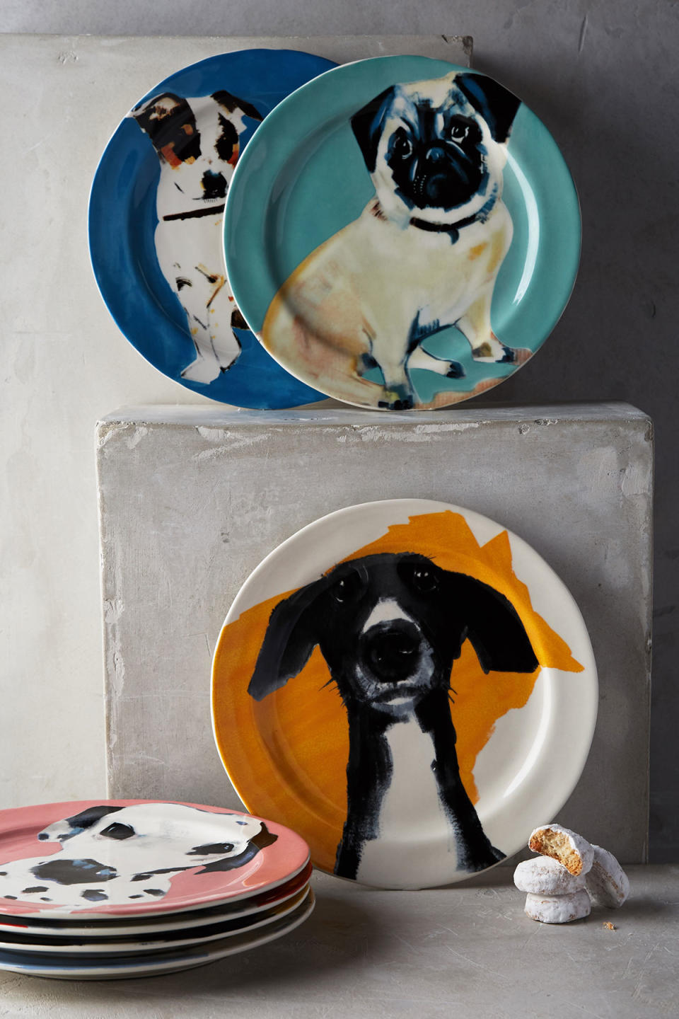 Dog a Day Collection by Sally Muir