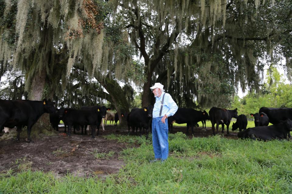 Pete Waller stands in the pasture with his cattle at Ottawa Farms in Bloomingdale. Ottawa Farms, which has transitioned to more agritourism, is one of the few remaining working farms in Chatham County.
