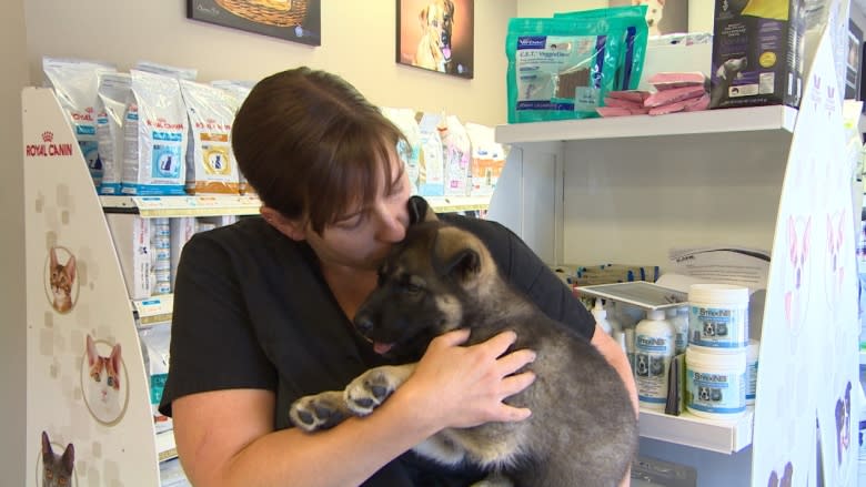 Veterinarian 'optimistic' for puppy hurt in troubling video