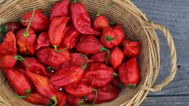 basket of ghost peppers 
