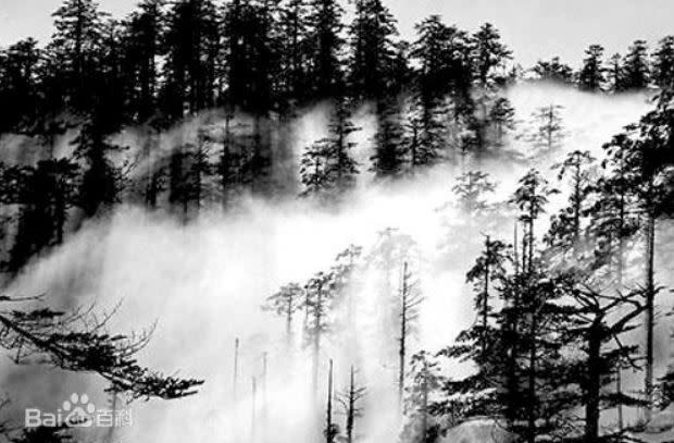 瓦屋山迷魂氹常會出現有毒迷霧，專家解釋此為瘴氣。（圖／翻攝自百度百科）