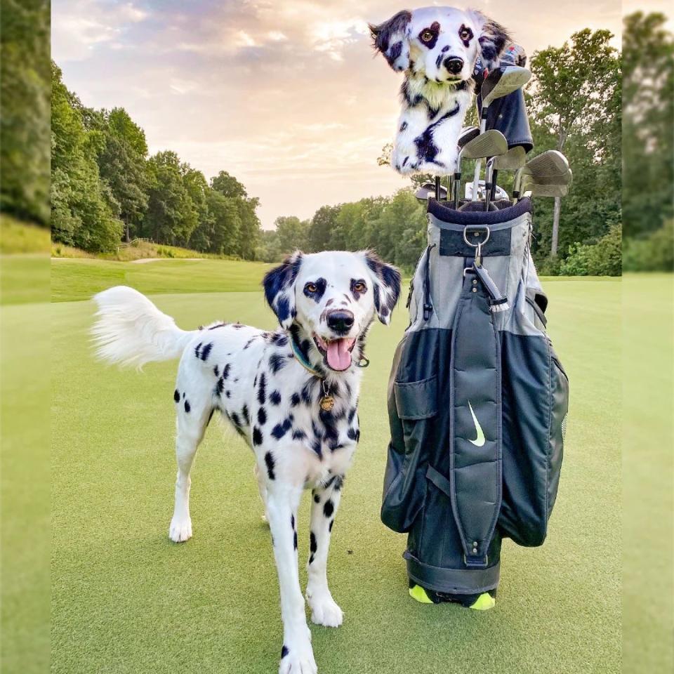 <p><a href="https://go.redirectingat.com?id=74968X1596630&url=https%3A%2F%2Fcuddleclones.com%2Fproducts%2Fcustom-golf-headcovers&sref=https%3A%2F%2Fwww.veranda.com%2Fshopping%2Fg60747281%2Fbest-golf-gifts-for-men%2F" rel="nofollow noopener" target="_blank" data-ylk="slk:Shop Now;elm:context_link;itc:0;sec:content-canvas" class="link ">Shop Now</a></p><p>Custom Dog Golf Club Headcover</p><p>cuddleclones.com</p><p>$249.00</p>