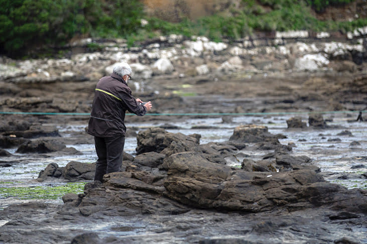 Keep to the taped-off areas to avoid scaring away any penguins as they come ashore.