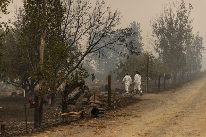 McKinney Fire Burns in California