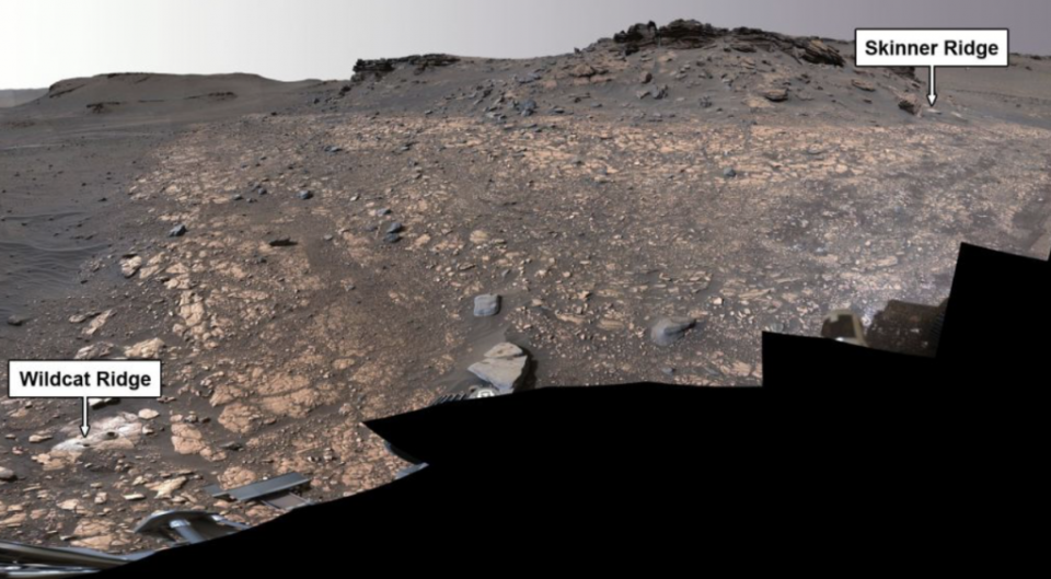 火星上的 Wildcat Ridge（左側下方） 和 Skinner Ridge（右側上方）。 (NASA/JPL-Caltech/ASU/MSSS)