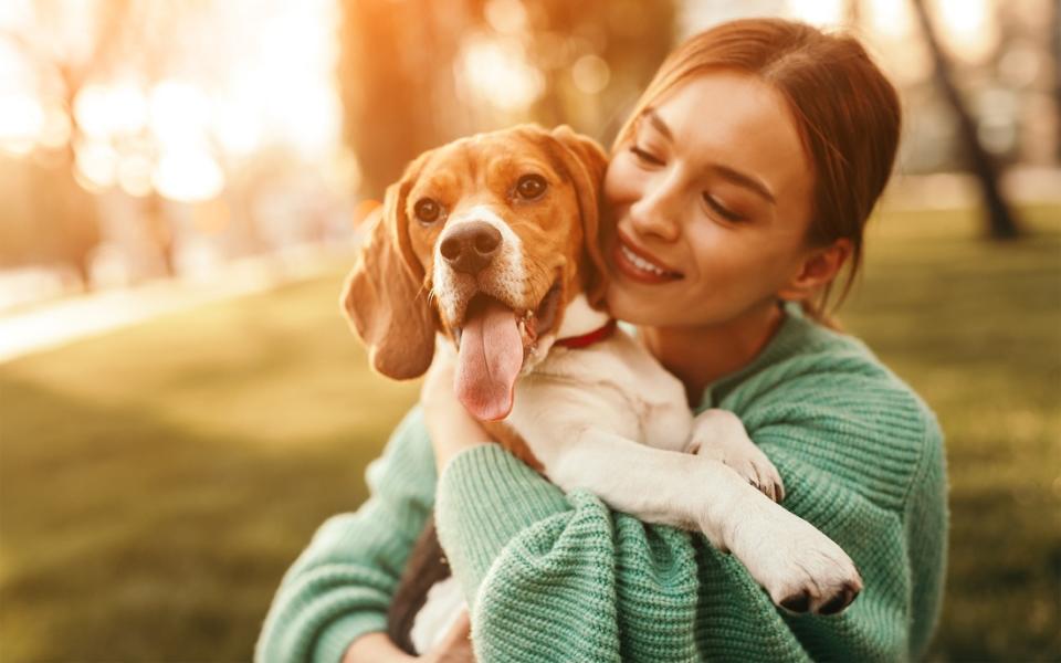 Petting your dog or cat can release Oxytocin. Also letting people in your life know how much they mean to you, releases more of the Cuddle hormone. 