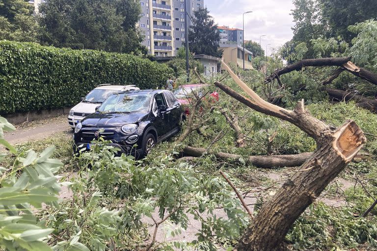 Un árbol caído aplasta un auto tras caerse durante una fuerte tormenta, en Milán, Italia, martes 25 de julio de 2023