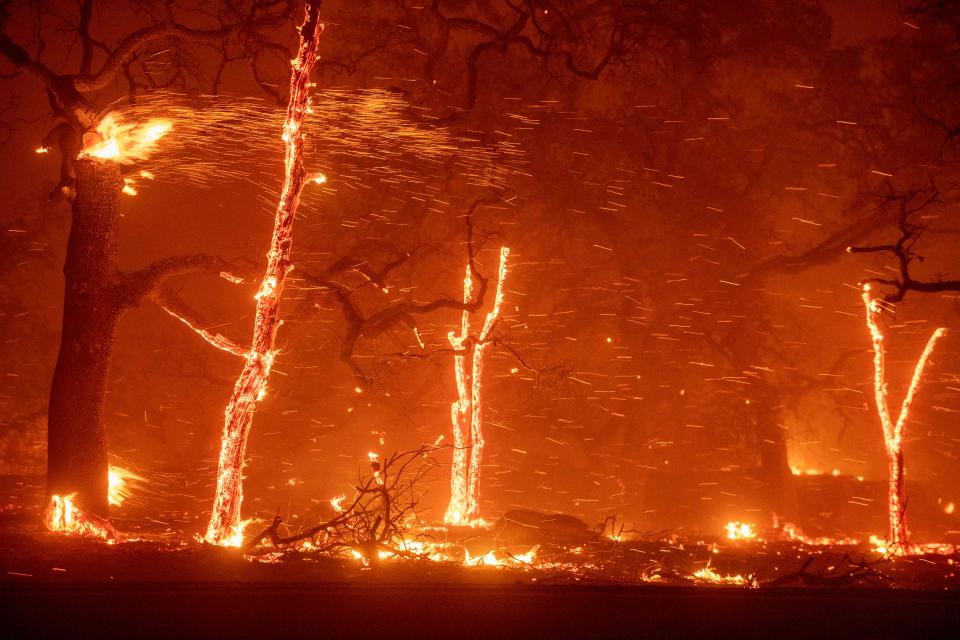 In this file photo taken on November 08, 2018, embers fly as wind and flames from the Camp fire tear through Paradise, California. - It was the worst wildfire in California's history as it blasted through the small town of Paradise, killing 86 people and erasing everything in its path. But nearly one year after the inferno, the town in the northern California foothills that was home to 26,000 people is literally rising from the ashes.