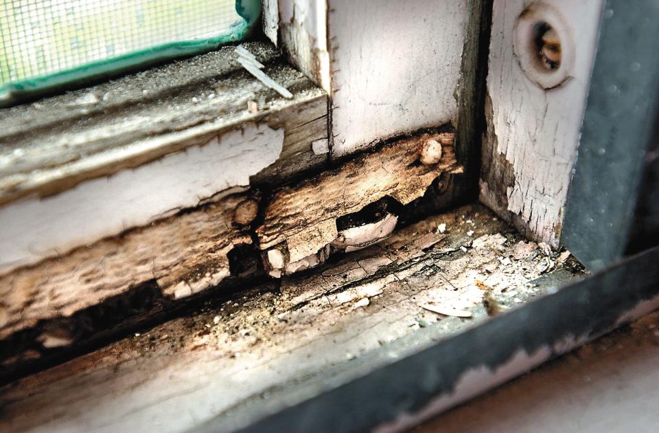 Lead paint chips are more likely to be found in homes built before 1978.