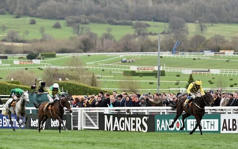 Anibale Fly finishes second to Al Boum Photo in the Cheltenham Gold Cup - Credit: AFP