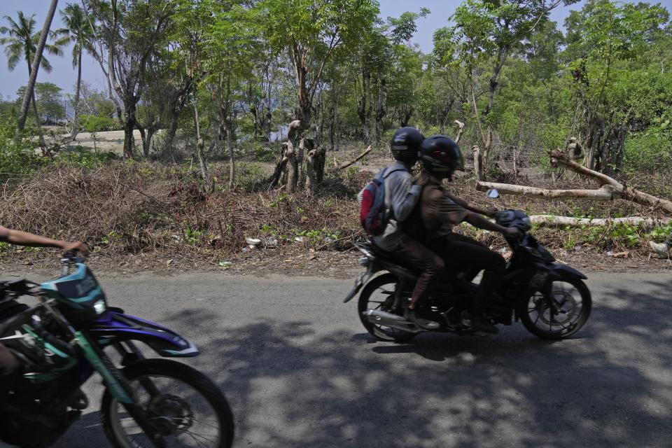 Motorists ride past a beach area known as maleo nesting ground, background, in Mamuju, West Sulawesi, Indonesia, Saturday, Oct. 28, 2023. The maleo is a critically endangered and declining species that's endemic to Sulawesi and its surrounding islands — a revered symbol of the country's lush biodiversity. But the bird population in West Sulawesi is now under threat of encroachment from human activities and also the rapid development in the region that has been set up as a "support region" for the development of the country's new capital city on Borneo Island. (AP Photo/Dita Alangkara)