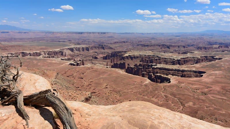 (<a href="https://commons.wikimedia.org/wiki/File:Canyonlands_NP_Grand_View_Point_Overlook.jpg" rel="nofollow noopener" target="_blank" data-ylk="slk:Myrabella;elm:context_link;itc:0;sec:content-canvas" class="link ">Myrabella</a>/<a href="https://commons.wikimedia.org/wiki/Main_Page" rel="nofollow noopener" target="_blank" data-ylk="slk:Wikimedia Commons;elm:context_link;itc:0;sec:content-canvas" class="link ">Wikimedia Commons</a>/<a href="https://creativecommons.org/licenses/by-sa/4.0/" rel="nofollow noopener" target="_blank" data-ylk="slk:Creative Commons;elm:context_link;itc:0;sec:content-canvas" class="link ">Creative Commons</a>)