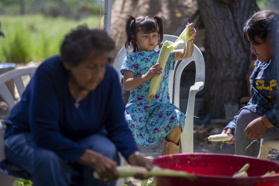 Three-year-old Antonita, center, helps peel corn at the home of her grandparents Norma and Eugene “Hutch” Naranjo in Ohkay Owingeh, formerly named San Juan Pueblo, in northern New Mexico, Sunday, Aug. 21, 2022. Friends and relatives of the Naranjos gather every year to make chicos, dried kernels used in stews and puddings. (AP Photo/Andres Leighton)