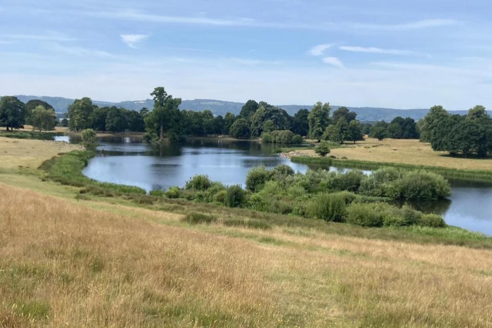 The Argus: The Petworth Park walk is said to offer scenic paths