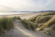 <p>This huge, peaceful beach is overlooked by mighty Harlech Castle, a World Heritage Site. A 440-metre path from the car park takes you to the beautiful sand dunes of Harlech Beach. A National Nature Reserve and Site of Special Scientific Interest, the beach is ideal for children to play and adults to sit back and relax. You'll find a shop, café and the Royal St David’s Golf Club, one of Britain’s finest links courses, nearby.</p><p><strong>Where to stay: </strong>Branwen, part of Harlech Apartments, is an apartment for two people offering impressive views of Harlech Castle. Inside, it's stylish and the perfect spot for people watching.</p><p><a class="link " href="https://www.sykescottages.co.uk/cottage/Mid-Wales-Cardigan-Bay-Harlech/Harlech-1-Branwen-1008864.html" rel="nofollow noopener" target="_blank" data-ylk="slk:SEE INSIDE;elm:context_link;itc:0;sec:content-canvas">SEE INSIDE</a></p>