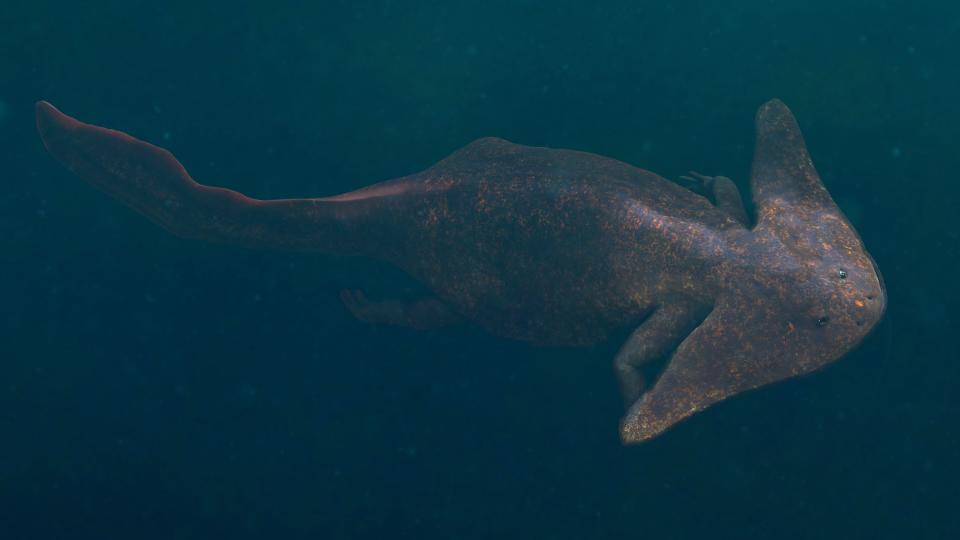 A triangle-headed Diplocaulus with four legs and a long tail swimming in the water.