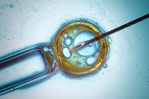 Magnification of needle poking into a cell.