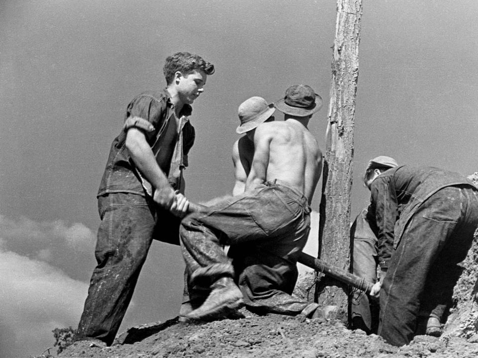A black and white photo of young men working on a tree.