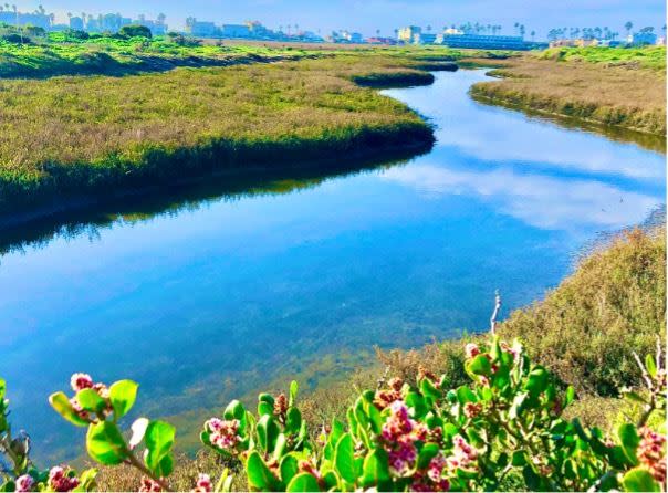 穀雨的河水又稱桃花水。（圖／CANVA製作）