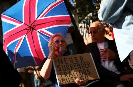 Pro-Brexit demonstrators protest outside the Supreme Court in London