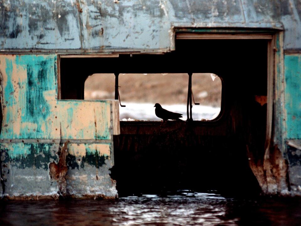 A pigeon perches in the window of a house trailer flooded by the rising waters of the Salton Sea at Bombay Beach July 28, 2000