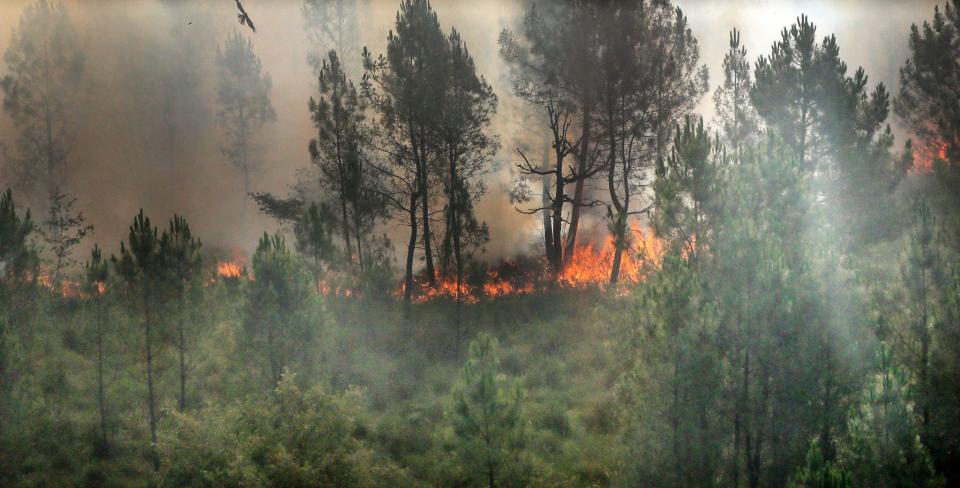 Incendie à Landiras (Gironde) le 13 juillet 2022 - LAURENT THEILLET / AFP / POOL