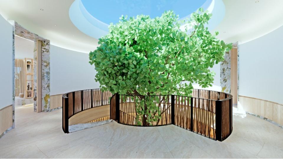 A tree under the large skylight on the second floor. - Credit: VICOM