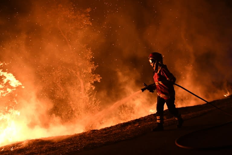 Portugal's leaders have been criticised for failing to develop a coherent strategy to fight forest fires