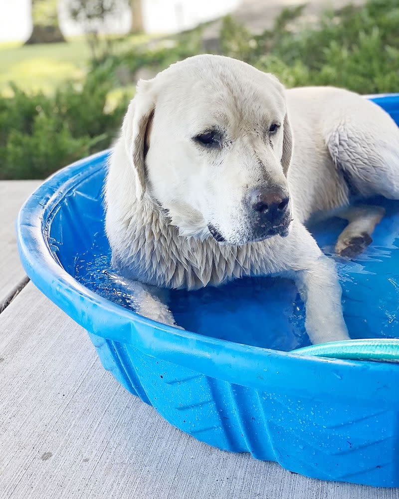 Jump in the pool!