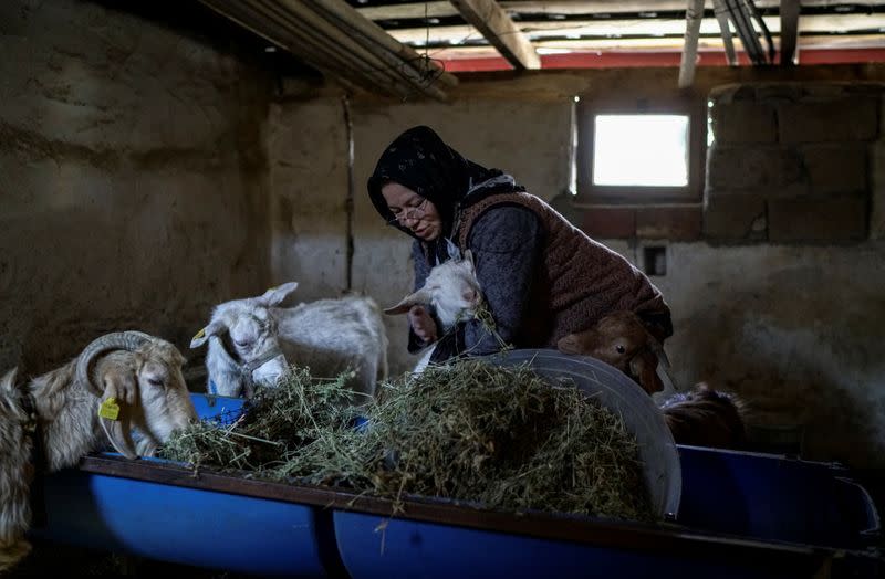 The Wider Image: Turkish olive farmer battles to save her land from coal mine