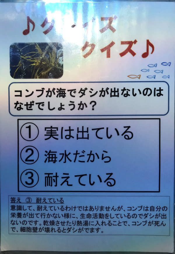 小樽水族館揭密，昆布泡在海裡不會變高湯的原因。（圖／翻攝自@chaca21911推特）