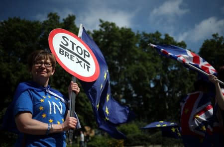 Anti-Brexit protesters demonstrate outside the Houses of Parliament in London