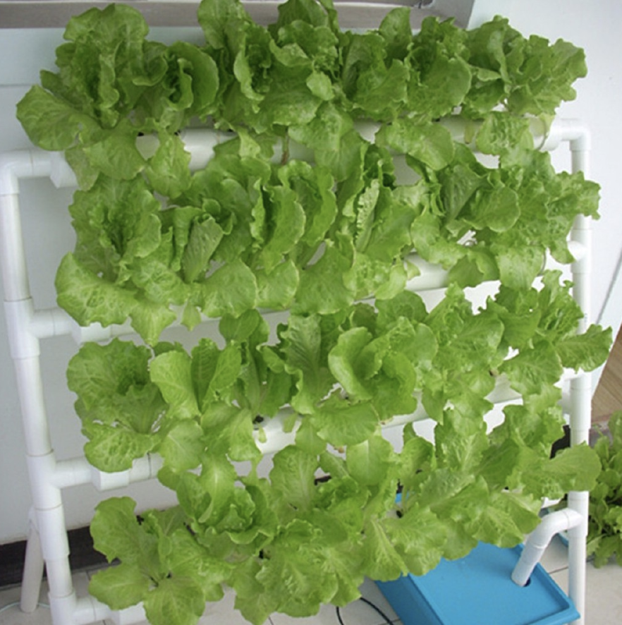 Hydroponic Grow Kit Garden. (PHOTO: Shopee)