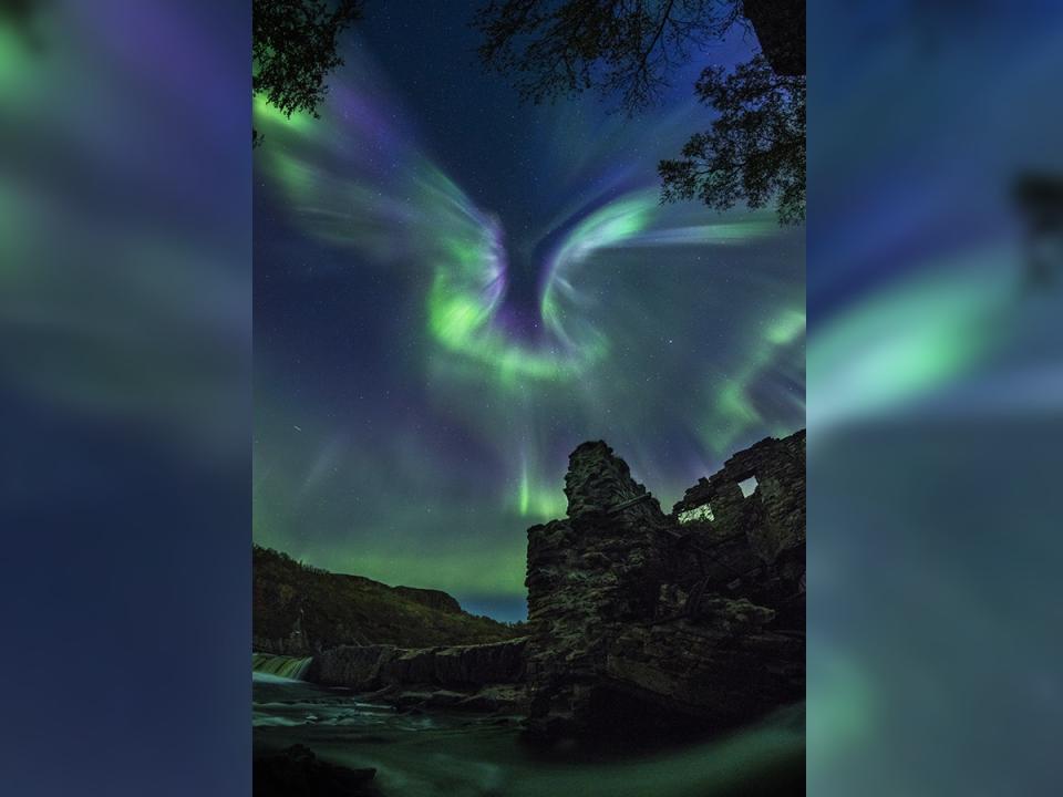 Astronomy photo contest - Aurora is a bird