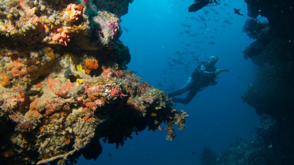 Baros Maldives diving