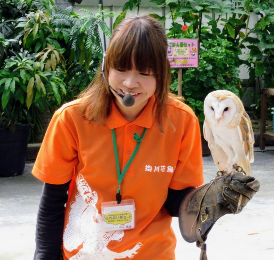掛川花鳥園的貓頭鷹馴演互動節目很受歡迎。